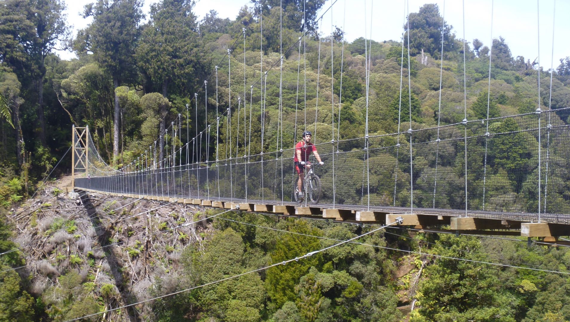 Spectacular bridges of The Timber Trail