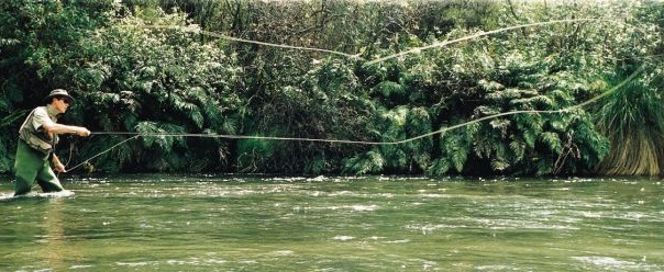 Casting out in the Waitahanui Stream, just one of Taupo's famous fishing streams.