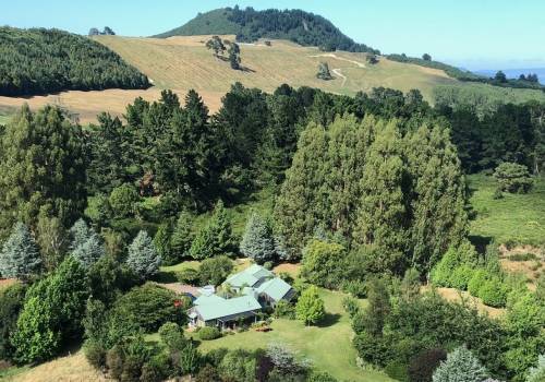 Sustainable Whakaipo Lodge | Blog