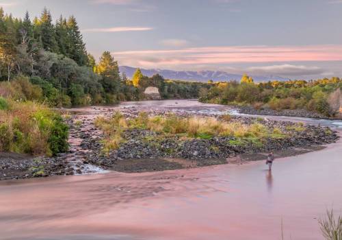 Media - Escape 2019 by John Corbett | Blog