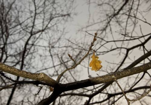 Mid Winter Luxury at Whakaipo Lodge - Fun, feasts and frivolity | Blog