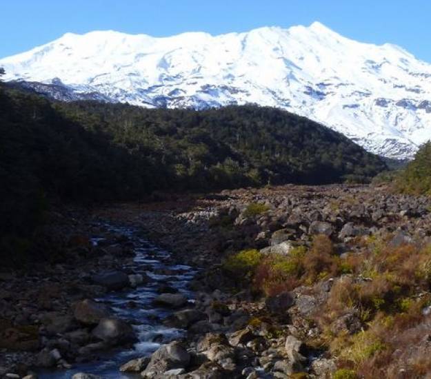 Hiking | Whakaipo Lodge| New Zealand