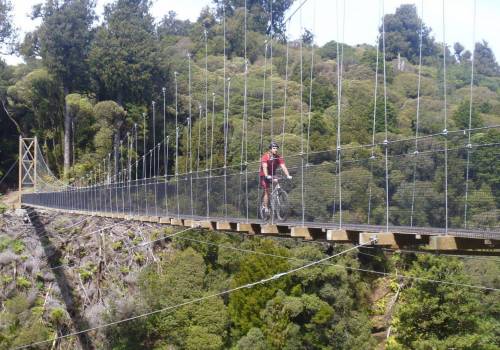 Mountain Bikers Dream Destination | Blog